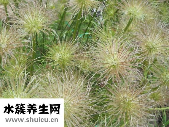 京东假货怎么办