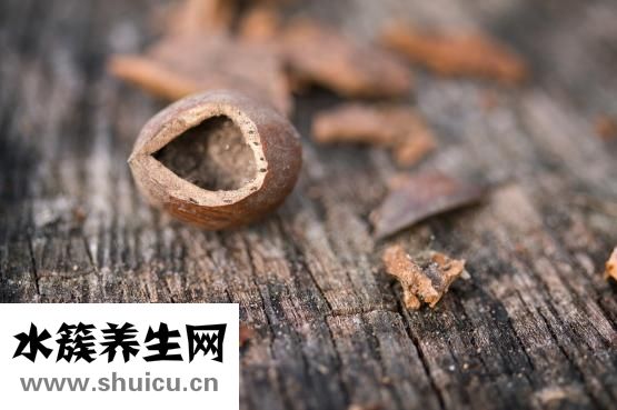 不会包饺子怎么办