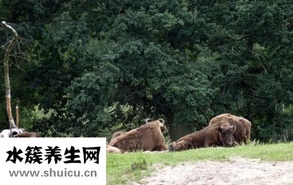 黄牛怎么抢挂号的