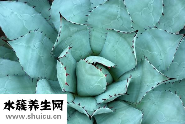 受伤红肿怎么消肿