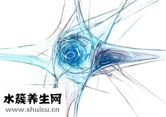 马蹄莲怎么分支