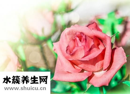 鼻梁骨宽大怎么办