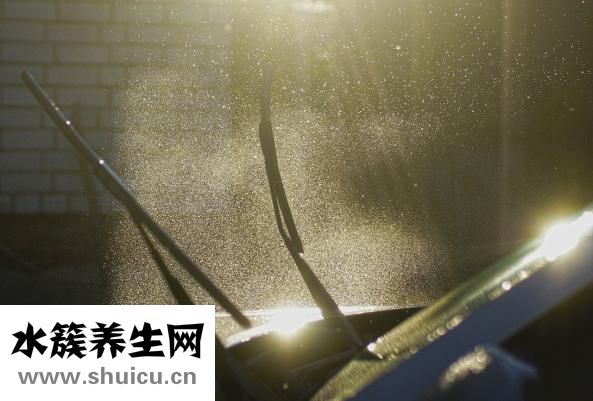 麻油掉在车里怎么洗