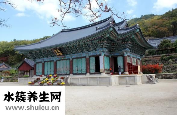 侠字怎么写