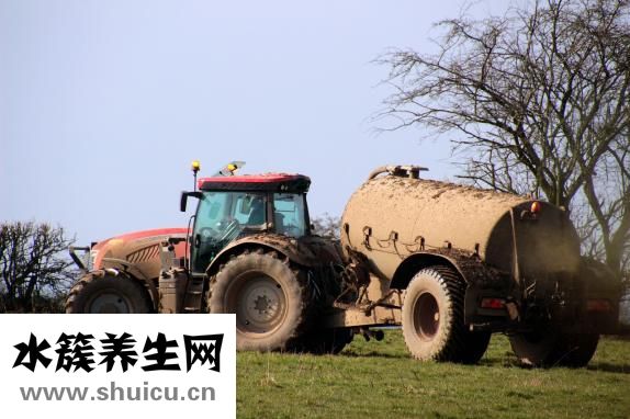 骨头肥料怎么做