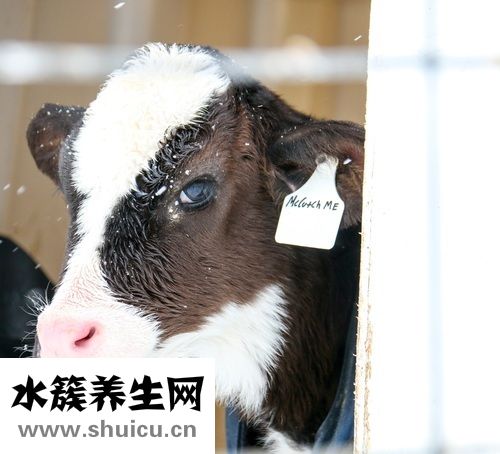 月子里疯狂吸奶妈妈请停止使用吸奶器