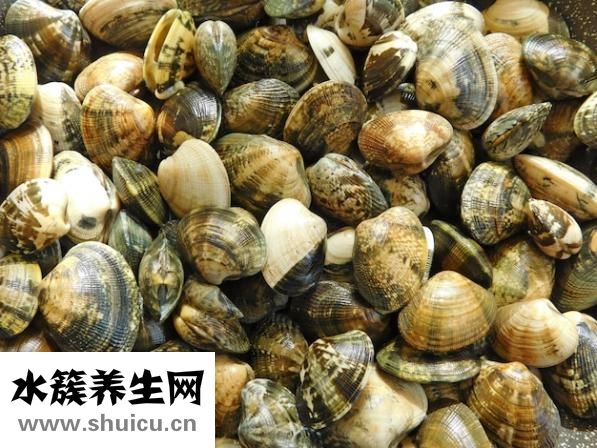 没放冰箱里过年吃大虾干小虾干都扔了
