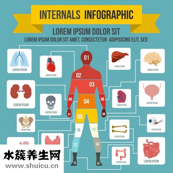 胸肌肉多久练一次，胸肌训练秘诀！