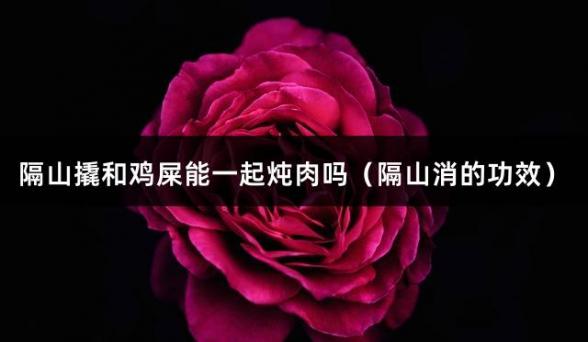 隔山撬和鸡屎能一起炖肉吗（隔山消的功效）