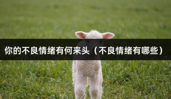 你的不良情绪有何来头（不良情绪有哪些）