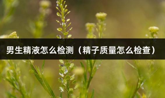 男生精液怎么检测（精子质量怎么检查）
