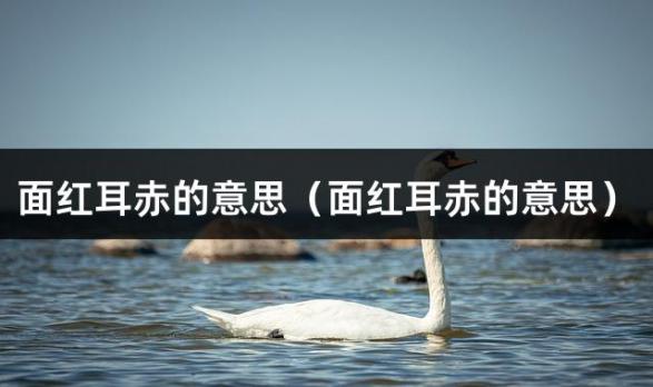面红耳赤的意思（面红耳赤的意思）