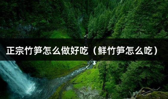 正宗竹笋怎么做好吃（鲜竹笋怎么吃）