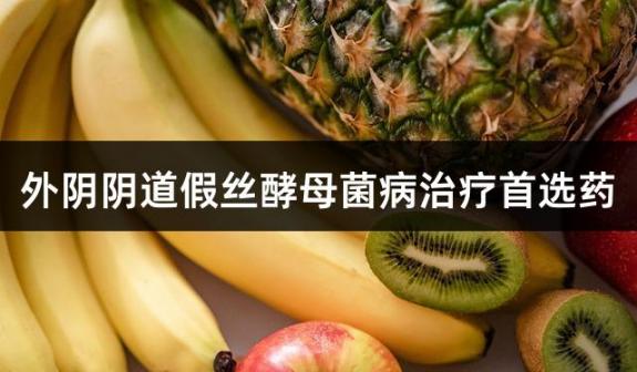 外阴阴道假丝酵母菌病治疗药