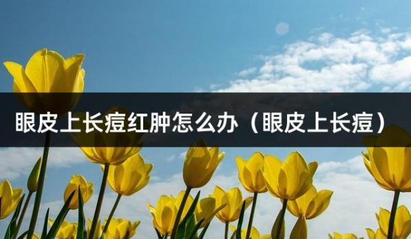 眼皮上长痘红肿怎么办（眼皮上长痘）