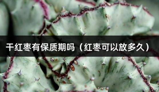 干红枣有保质期吗（红枣可以放多久）
