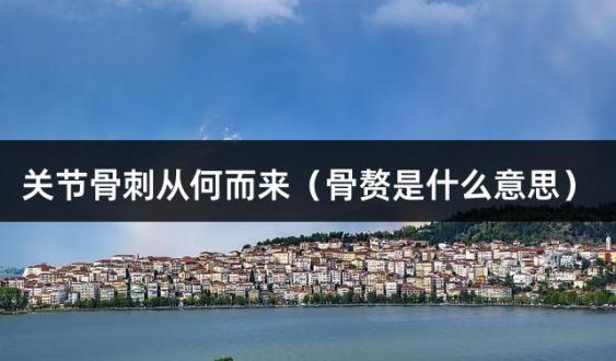 关节骨刺从何而来（骨赘是什么意思）