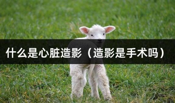 什么是心脏造影（造影是手术吗）