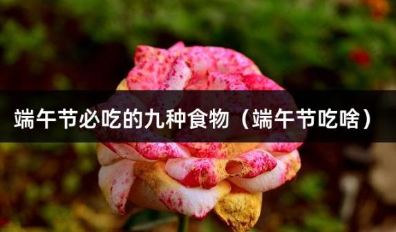 端午节必吃的九种食物（端午节吃啥）