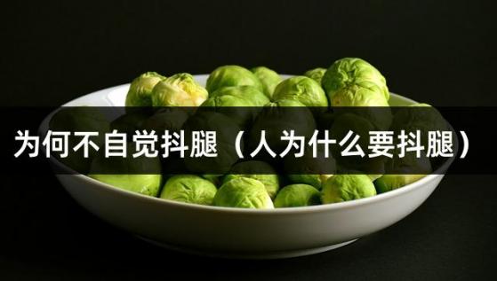 为何不自觉抖腿（人为什么要抖腿）