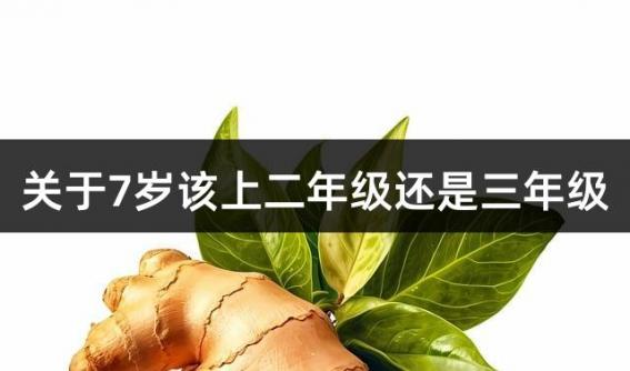 关于7岁该上二年级还是三年级
