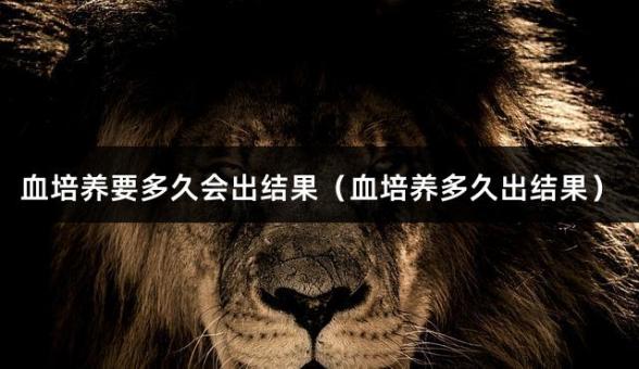 血培养要多久会出结果（血培养多久出结果）