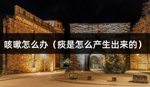 咳嗽怎么办（痰是怎么产生出来的）