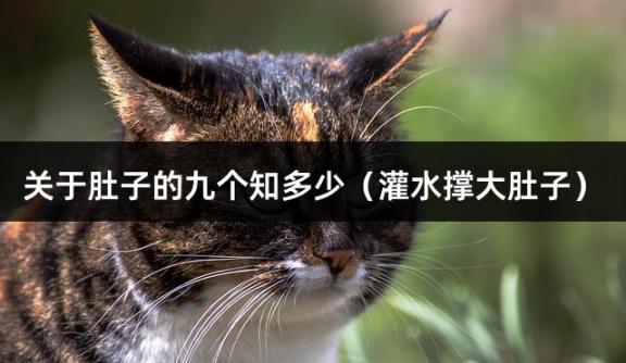 关于肚子的九个知多少（灌水撑大肚子）