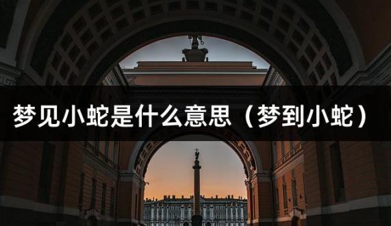梦见小蛇是什么意思（梦到小蛇）