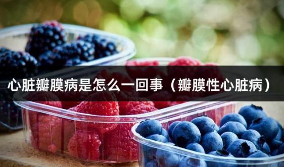 心脏瓣膜病是怎么一回事（瓣膜性心脏病）