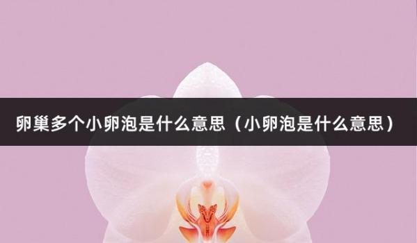 卵巢多个小卵泡是什么意思（小卵泡是什么意思）