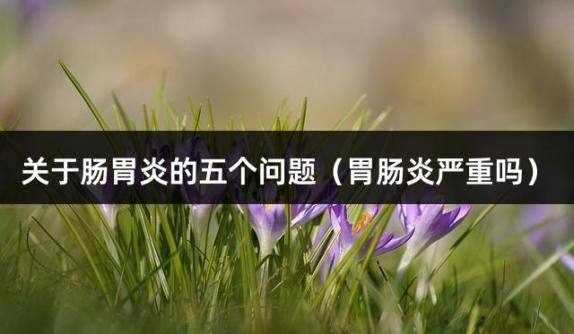 关于肠胃炎的五个问题（胃肠炎严重吗）