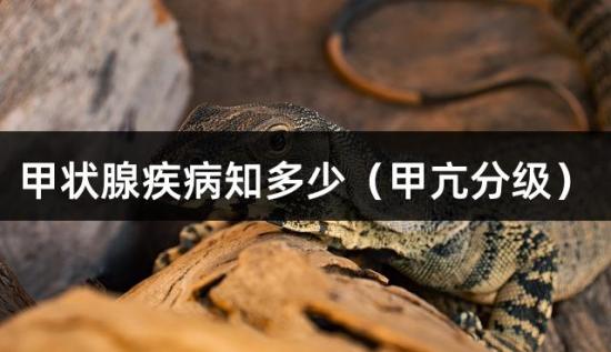甲状腺疾病知多少（甲亢分级）