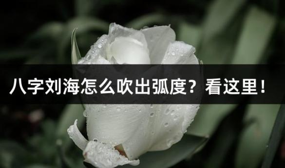 八字刘海怎么吹出弧度？看这里！
