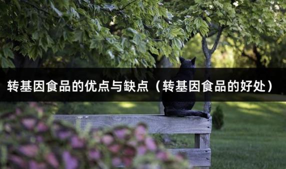 转基因食品的优点与缺点（转基因食品的好处）