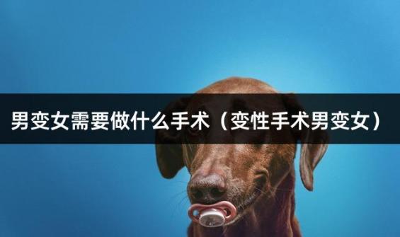 男变女需要做什么手术（变性手术男变女）