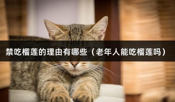禁吃榴莲的理由有哪些（老年人能吃榴莲吗）