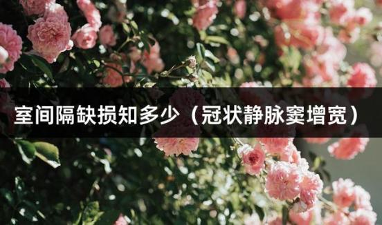 室间隔缺损知多少（冠状静脉窦增宽）