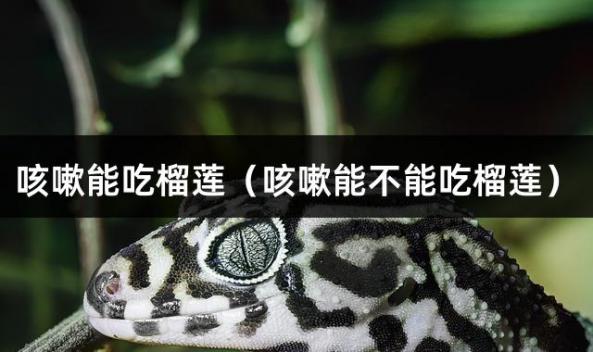 咳嗽能吃榴莲（咳嗽能不能吃榴莲）