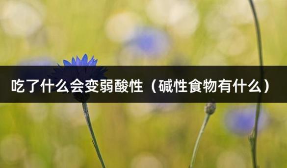 吃了什么会变弱酸性（碱性食物有什么）