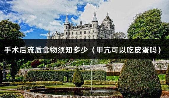 手术后流质食物须知多少（甲亢可以吃皮蛋吗）