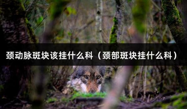 颈动脉斑块该挂什么科（颈部斑块挂什么科）