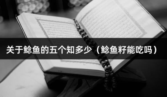 关于鲶鱼的五个知多少（鲶鱼籽能吃吗）