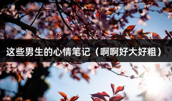 这些男生的心情笔记（啊啊好大好粗）