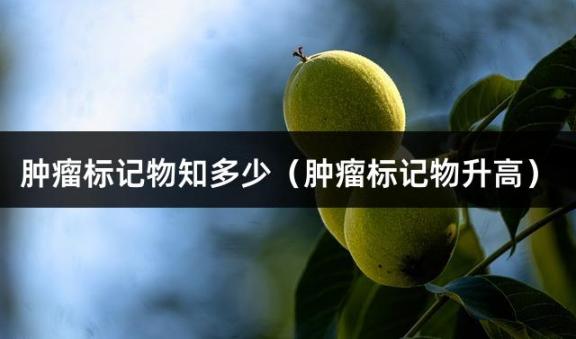 肿瘤标记物知多少（肿瘤标记物升高）