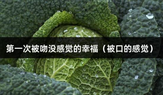 次被吻没感觉的幸福（被口的感觉）
