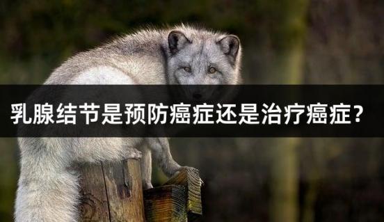 乳腺结节是预防癌症还是治疗癌症？