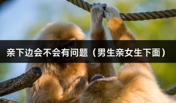 亲下边会不会有问题（男生亲女生下面）