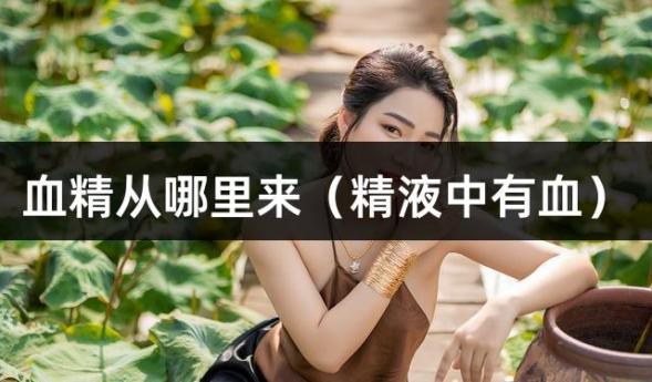 血精从哪里来（精液中有血）