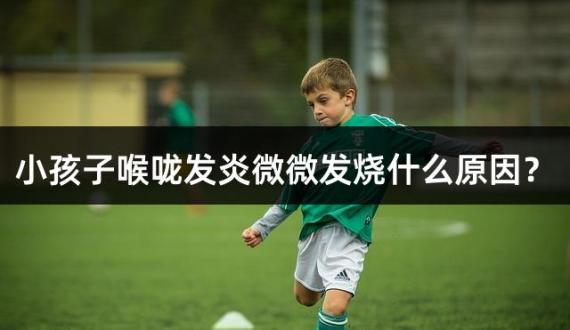 小孩子喉咙发炎微微发烧什么原因？